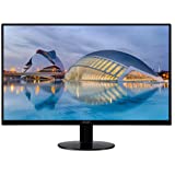 Computer Monitor : Standard Input Device